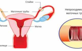 Кровь во время стула после родов