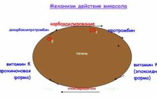 Чем поможет Викасол при месячных